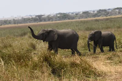 DSC_3623 (Large).JPG